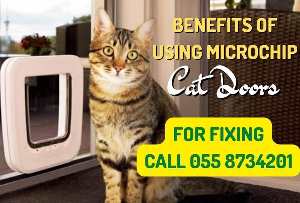 Benefits of Using Microchip CAT DOOR